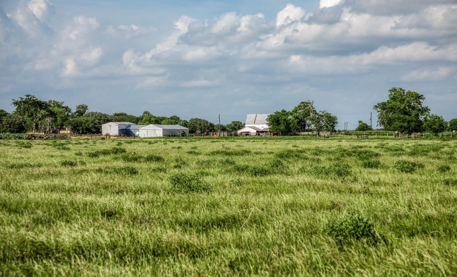 1923 Beasley West End Road Beasley, TX 77417 - Photo 6 of 12 a view of a green field with lots of bushes