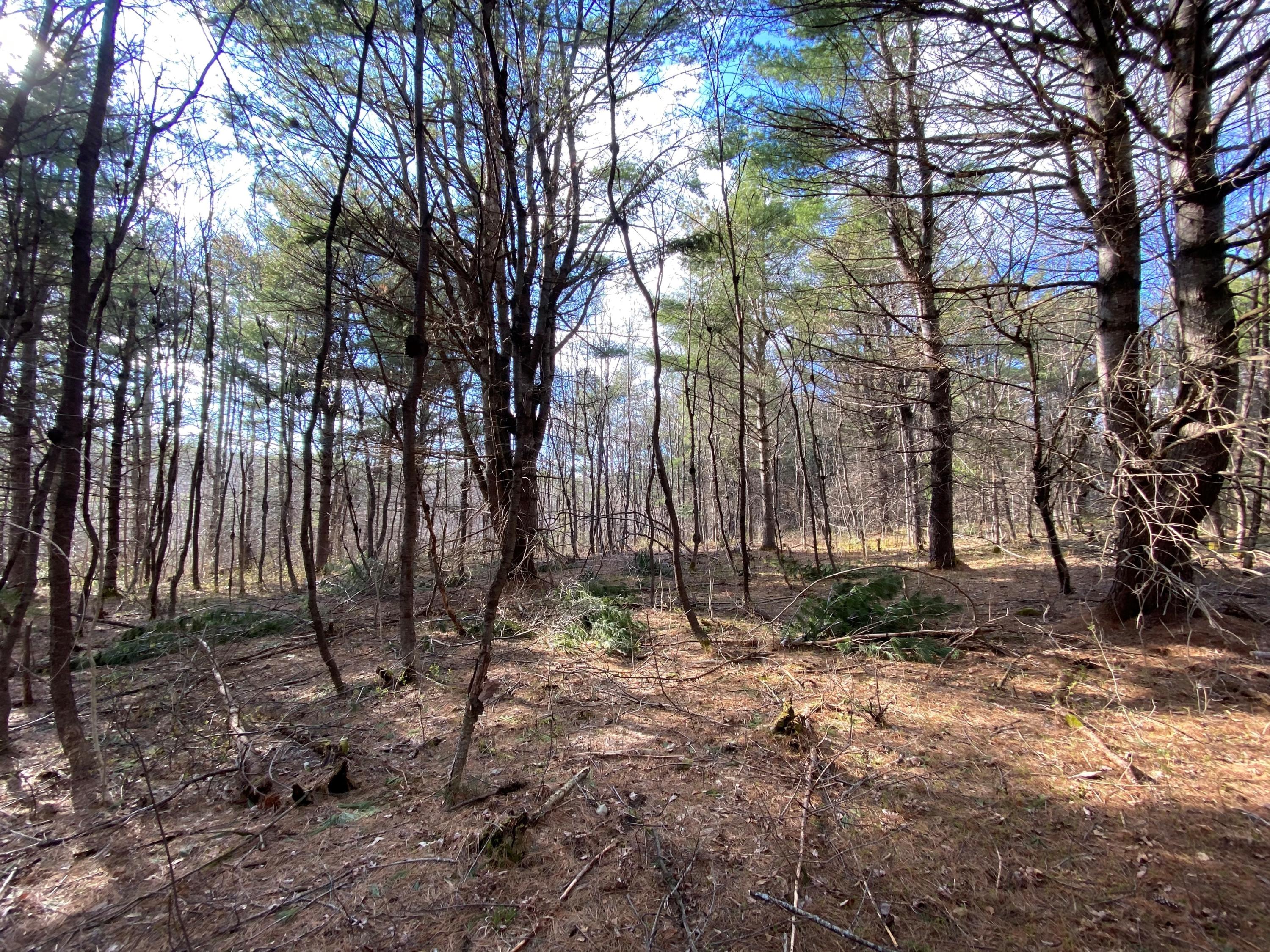 Tbd North Dexter Road Sangerville, ME 04479 - Photo 3 of 5 6354