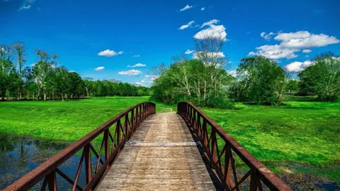 $700,000 | 2501 Barton Crk Trl Drive, Friendswood, TX 77546