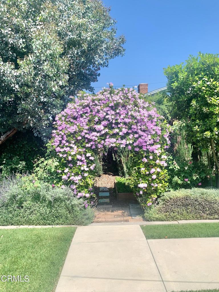 1115 West Briarcroft Road Claremont, CA 91711 - Photo 54 of 58 Blooms in the Springtime