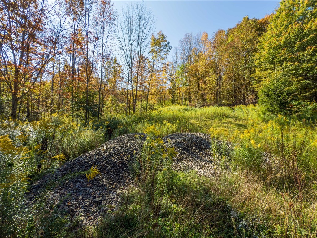Reservoir Hill Road Norwich, NY 13815 - Photo 37 of 50