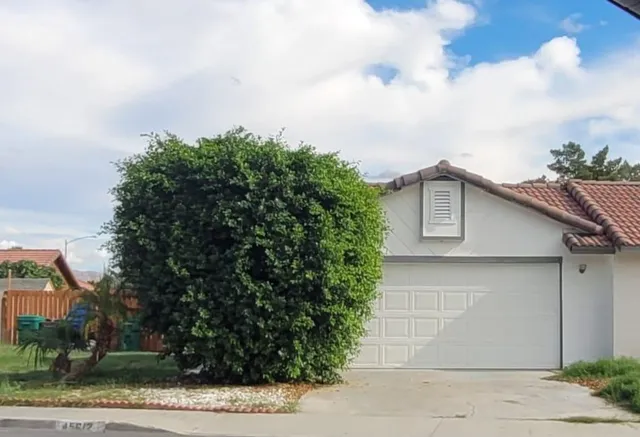 a view of a house with a yard and large tree