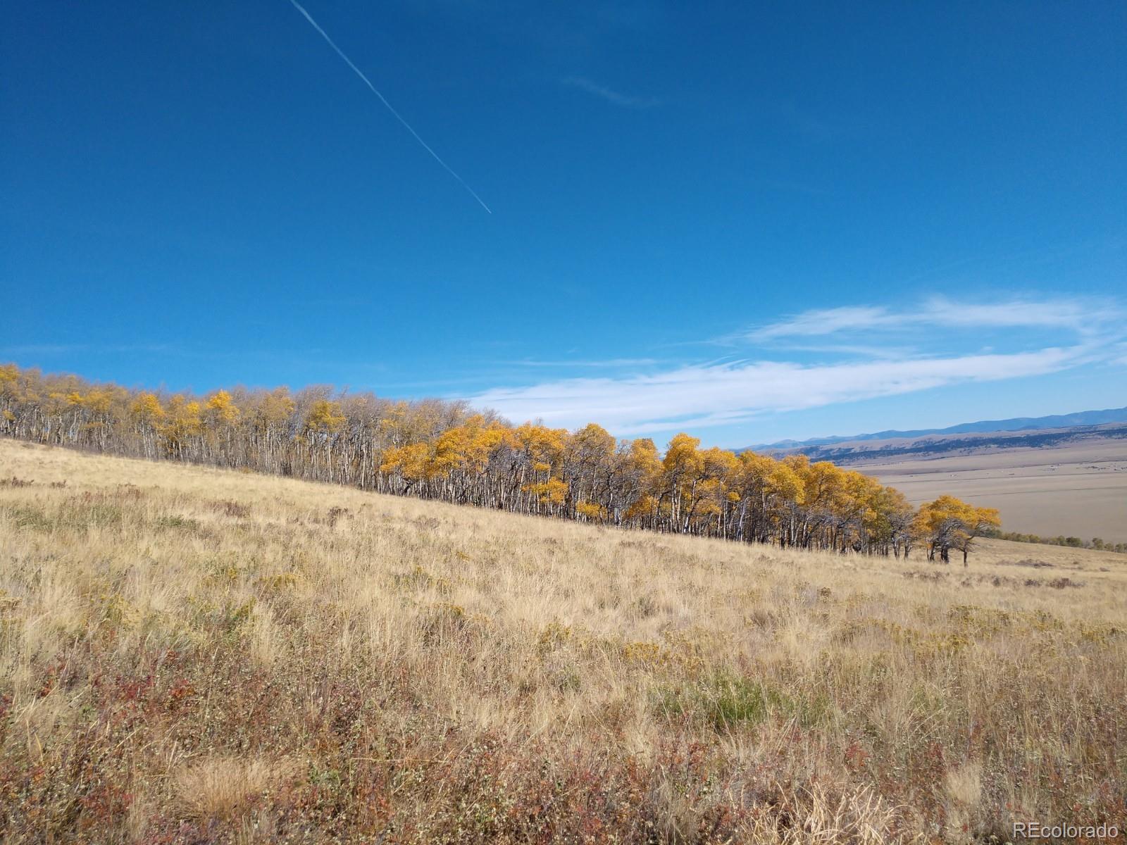 Black Mountain Ranch Road Fairplay, CO 80440 - Photo 11 of 13 Gallery Image 11