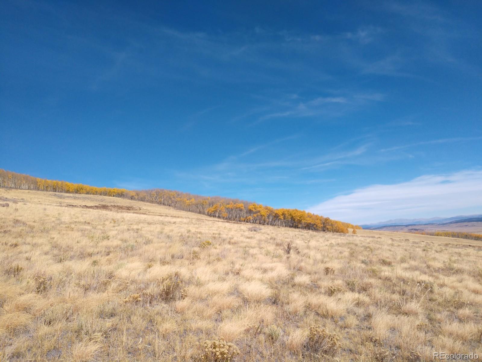 Black Mountain Ranch Road Fairplay, CO 80440 - Photo 12 of 13 Gallery Image 12