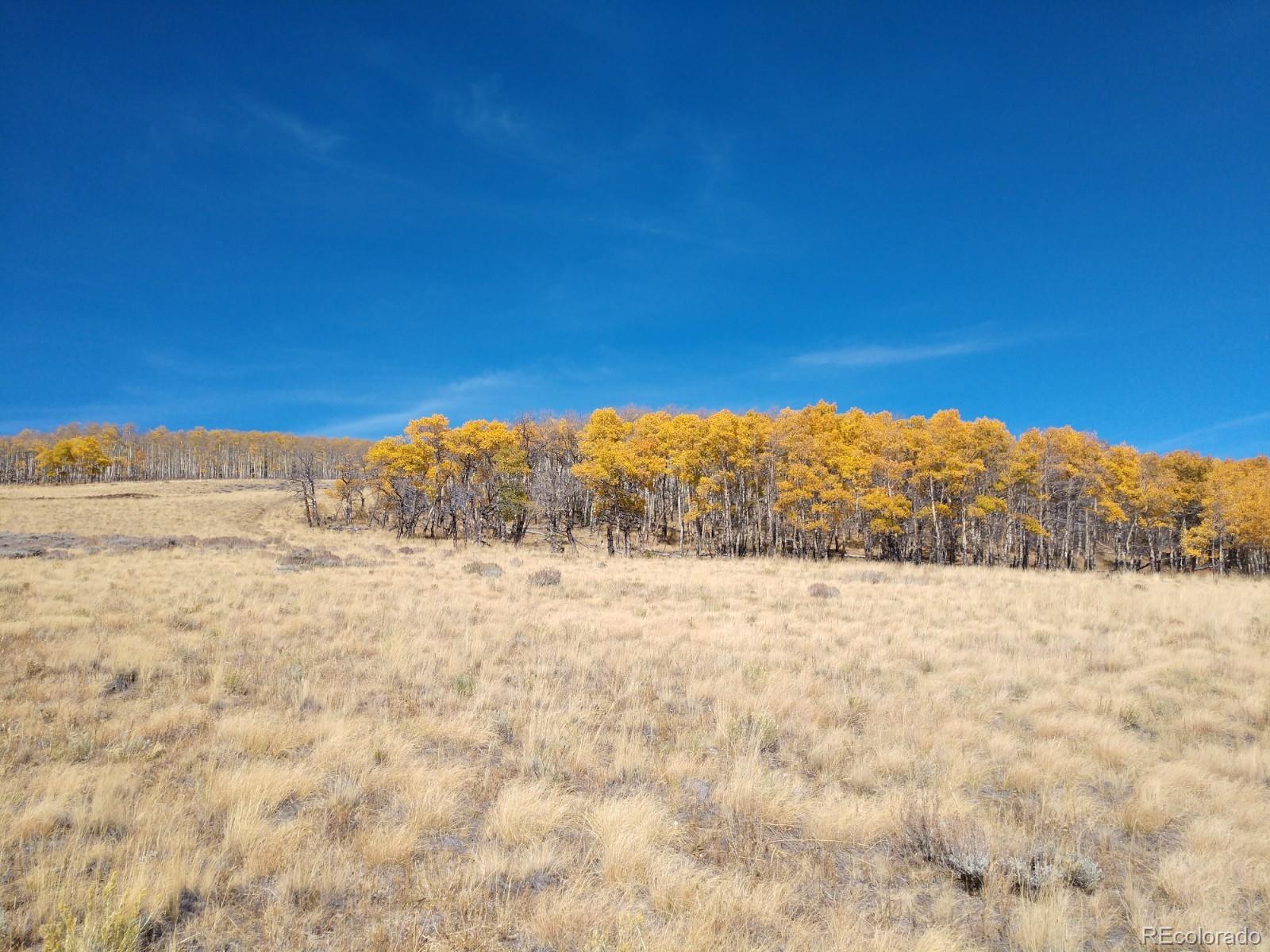 Black Mountain Ranch Road Fairplay, CO 80440 - Photo 13 of 13 Gallery Image 13