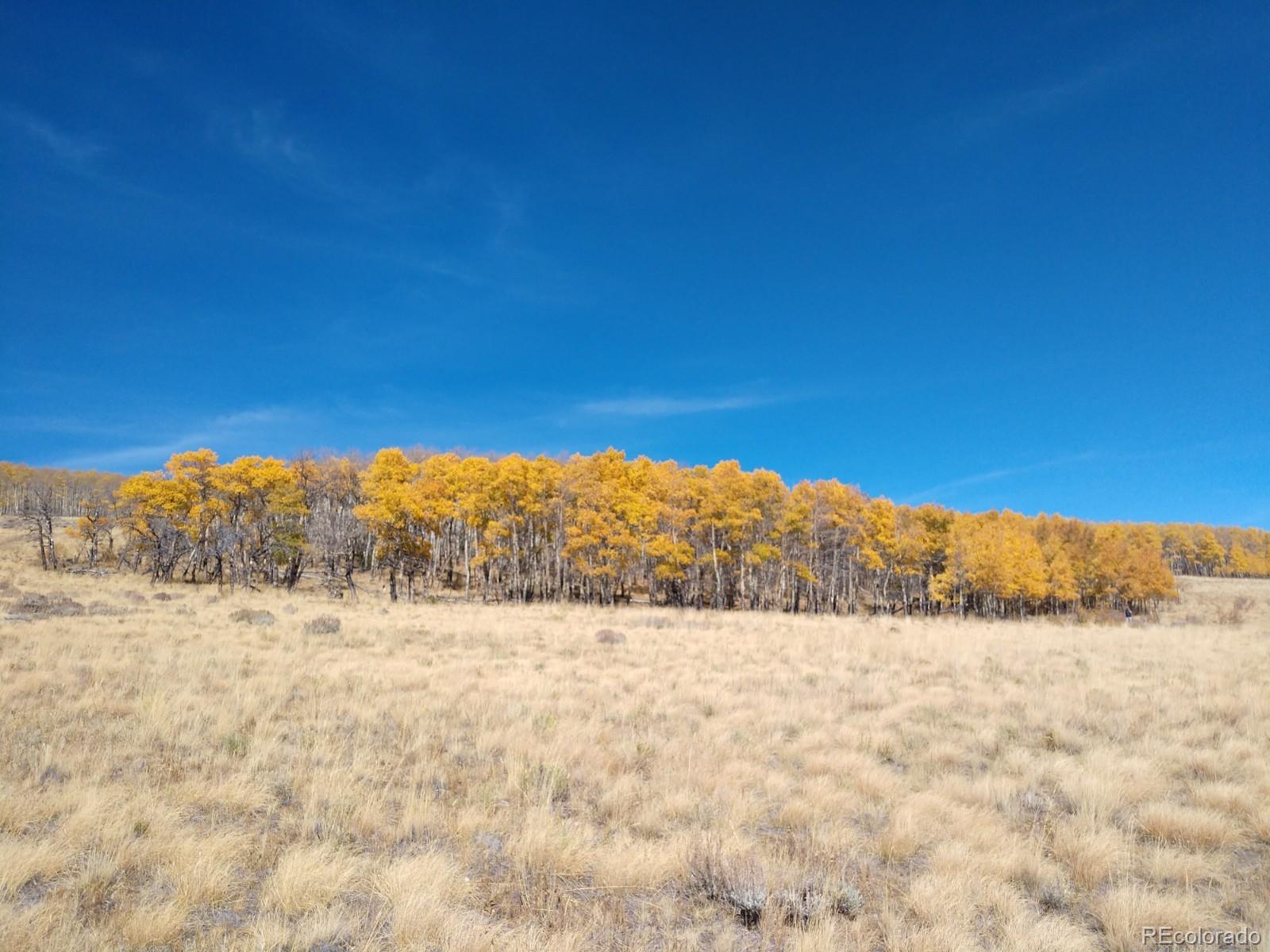 Black Mountain Ranch Road Fairplay, CO 80440 - Photo 3 of 13 Gallery Image 3
