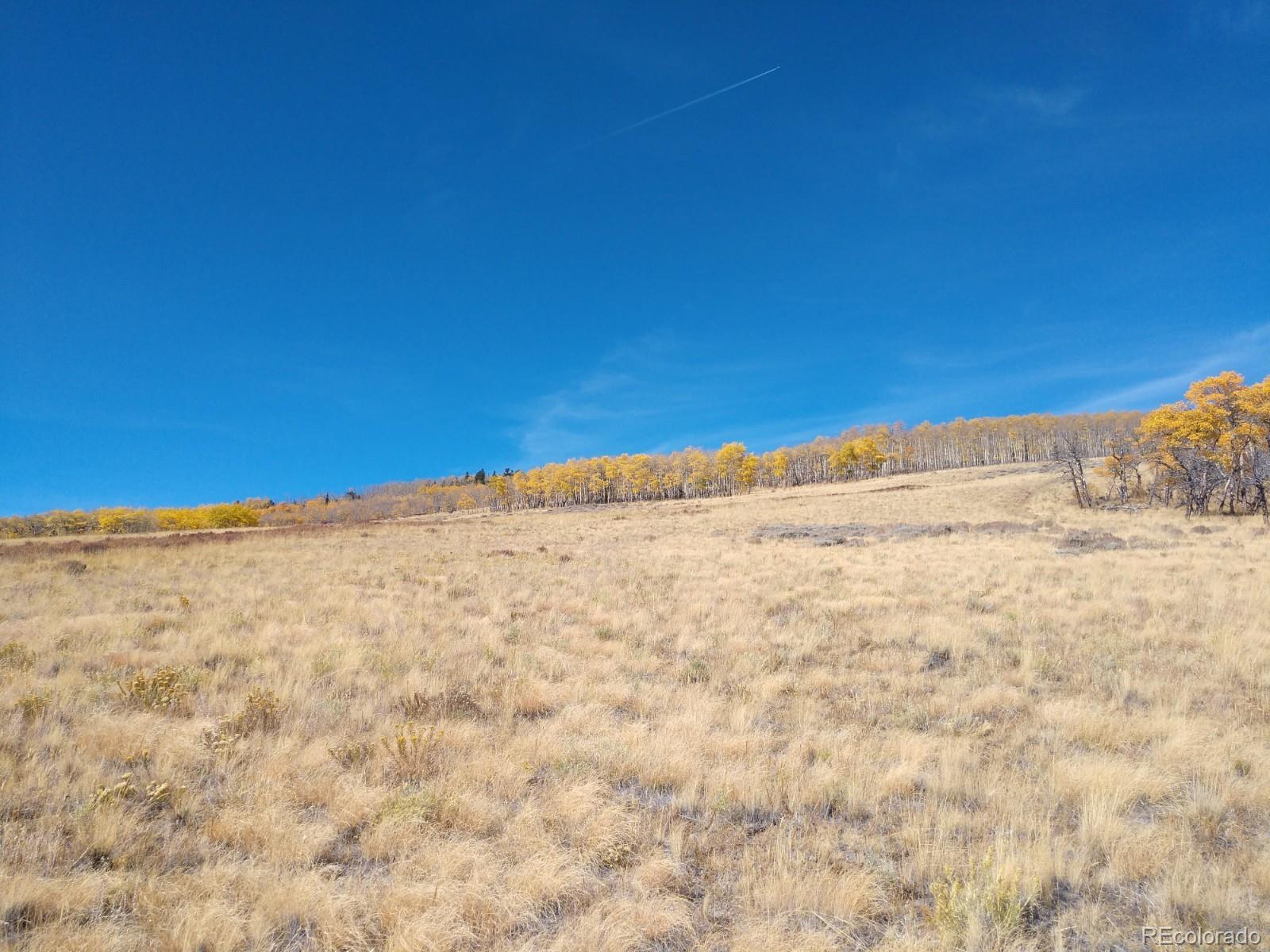 Black Mountain Ranch Road Fairplay, CO 80440 - Photo 4 of 13 Gallery Image 4