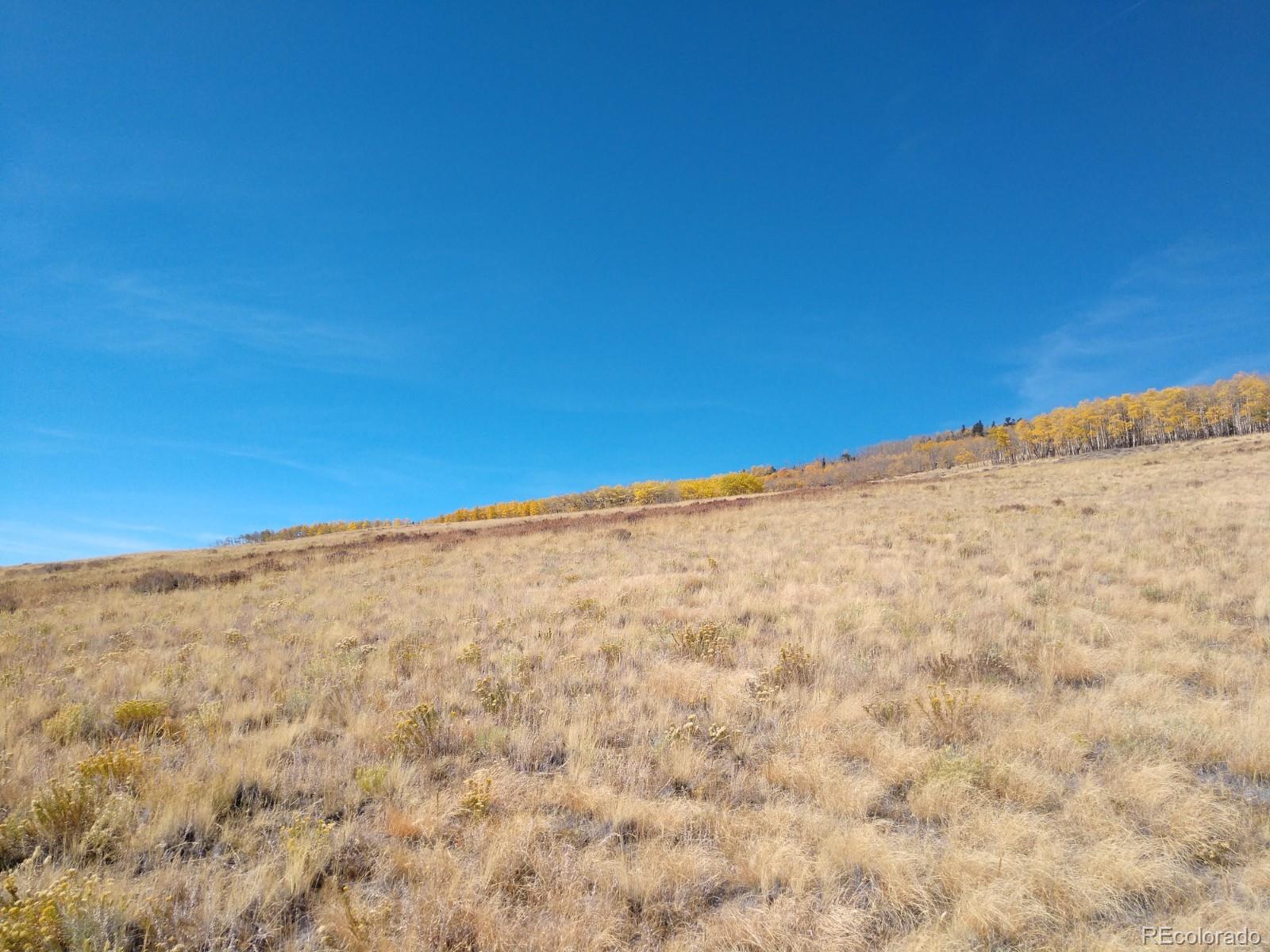 Black Mountain Ranch Road Fairplay, CO 80440 - Photo 5 of 13 Gallery Image 5