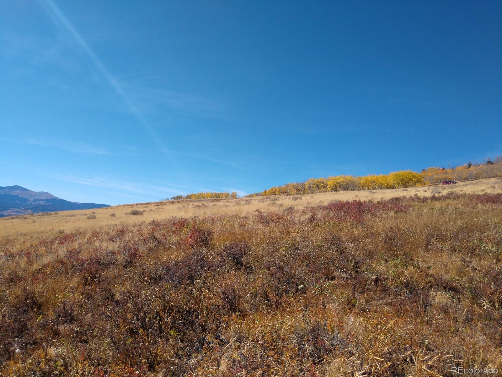 Black Mountain Ranch Road Fairplay, CO 80440 - Photo 9 of 13 Gallery Image 9