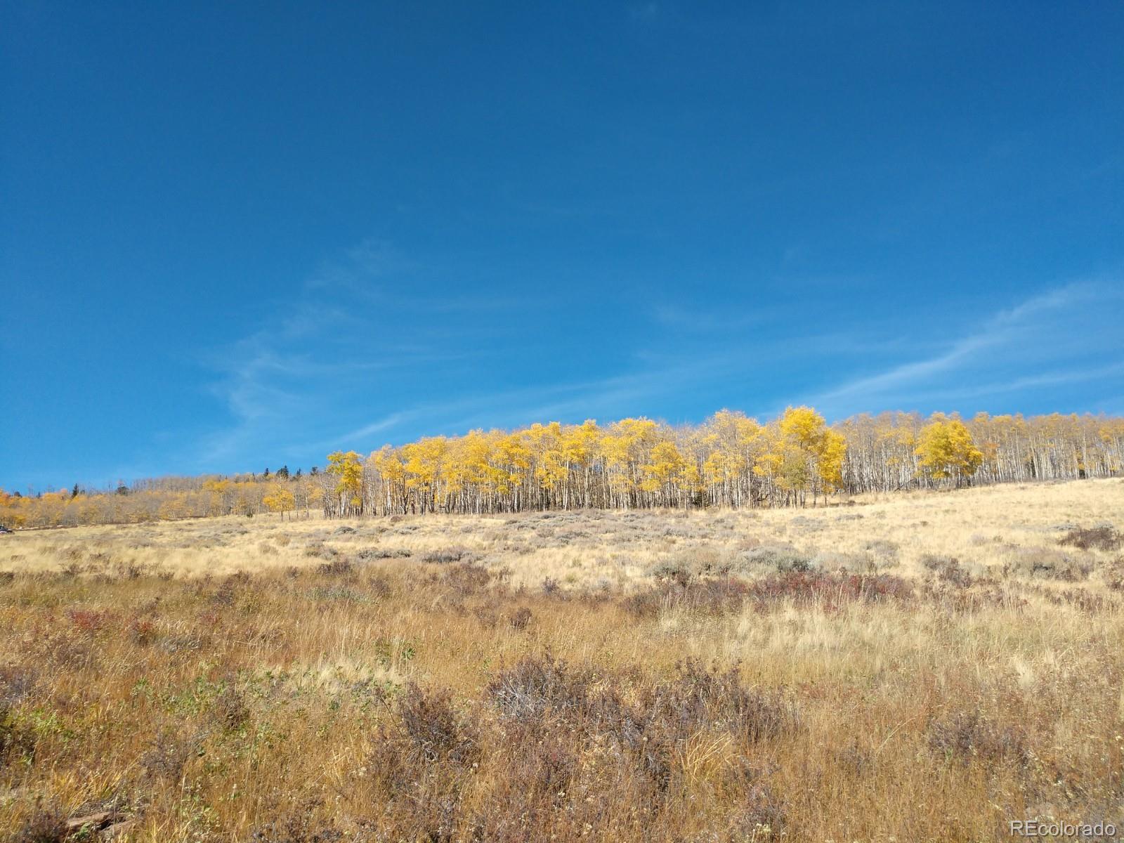 Black Mountain Ranch Road Fairplay, CO 80440 - Photo 10 of 13 Gallery Image 10