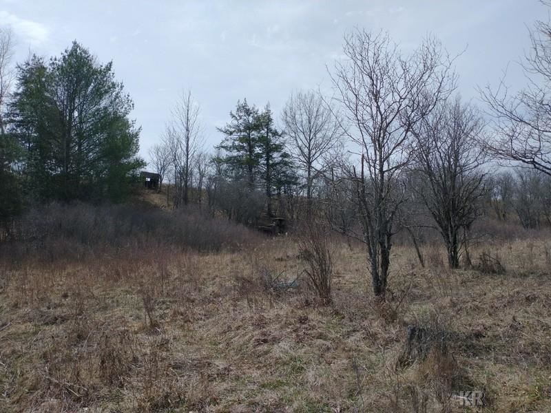 50-acres Sugar River Road Gladwin, MI 48624 - Photo 14 of 29