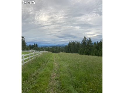 3 Lazy Way East Creswell, OR 97426 - Photo 11 of 18 a view of a big yard with potted plants