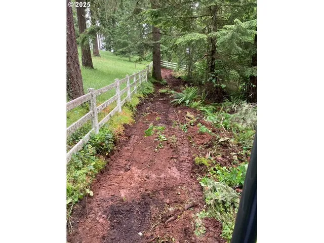 a view of a garden with a tree