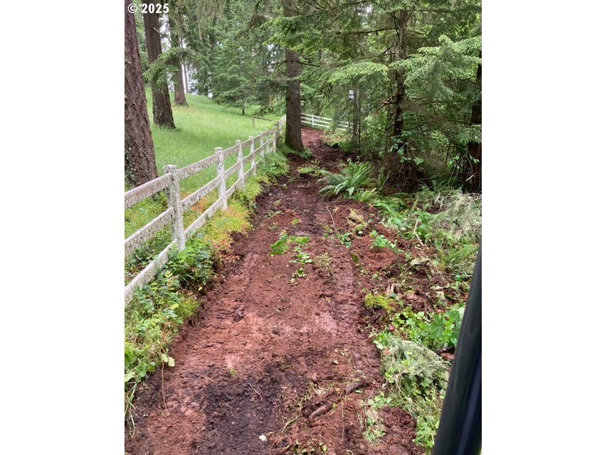 3 Lazy Way East Creswell, OR 97426 - Photo 13 of 18 a view of a garden with a tree