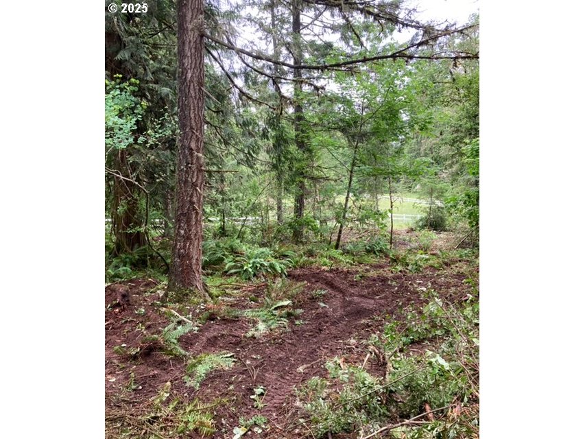 3 Lazy Way East Creswell, OR 97426 - Photo 16 of 18 a view of a yard with plants and trees