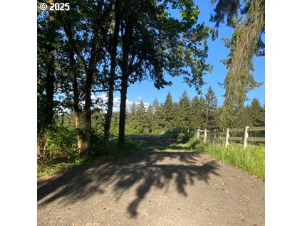 3 Lazy Way East Creswell, OR 97426 - Photo 4 of 18 a view of a yard