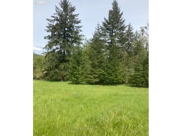 a view of a yard with a plant