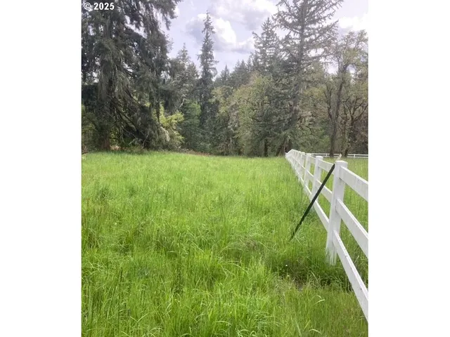 a view of yard from deck