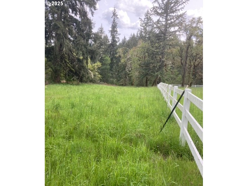 3 Lazy Way East Creswell, OR 97426 - Photo 6 of 18 a view of yard from deck