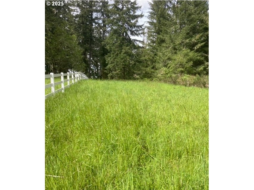 3 Lazy Way East Creswell, OR 97426 - Photo 8 of 18 a view of a yard