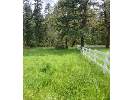 3 Lazy Way East Creswell, OR 97426 - Photo 9 of 18 a view of a yard