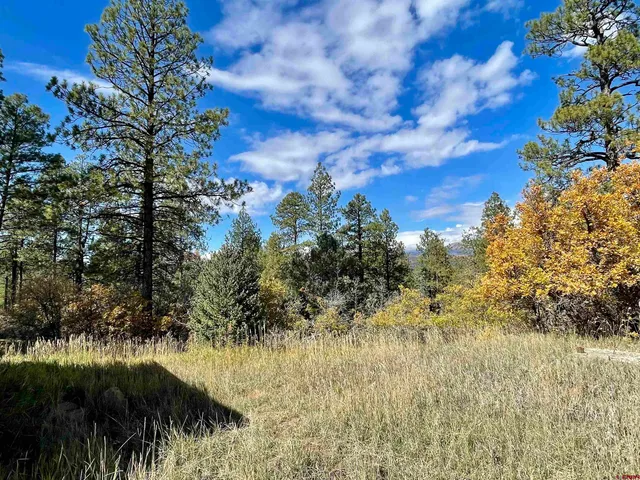 a view of a yard with a tree
