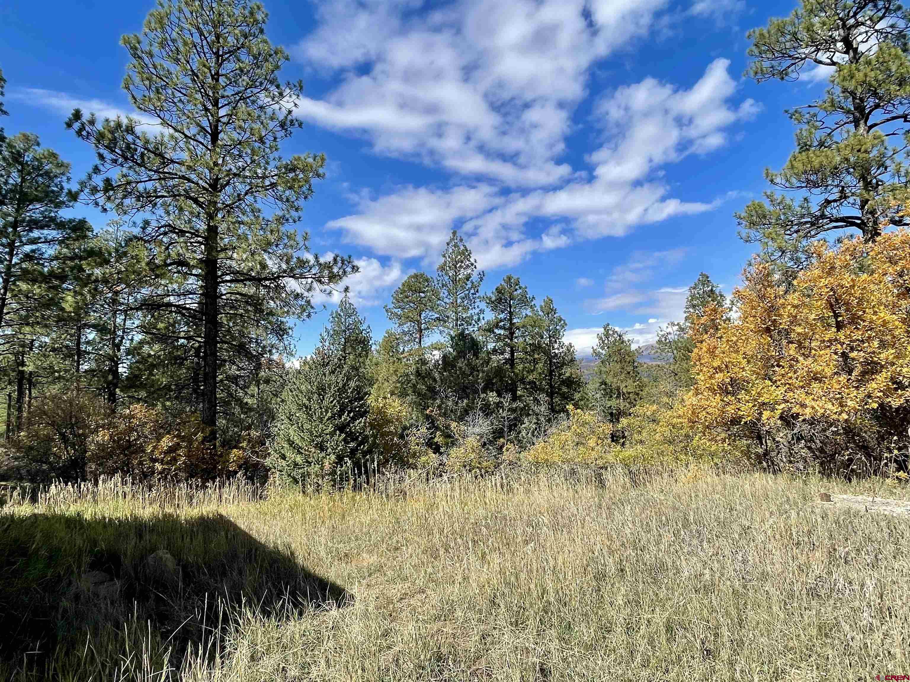 307 Deer Trail Road Durango, CO 81303 - Photo 11 of 16