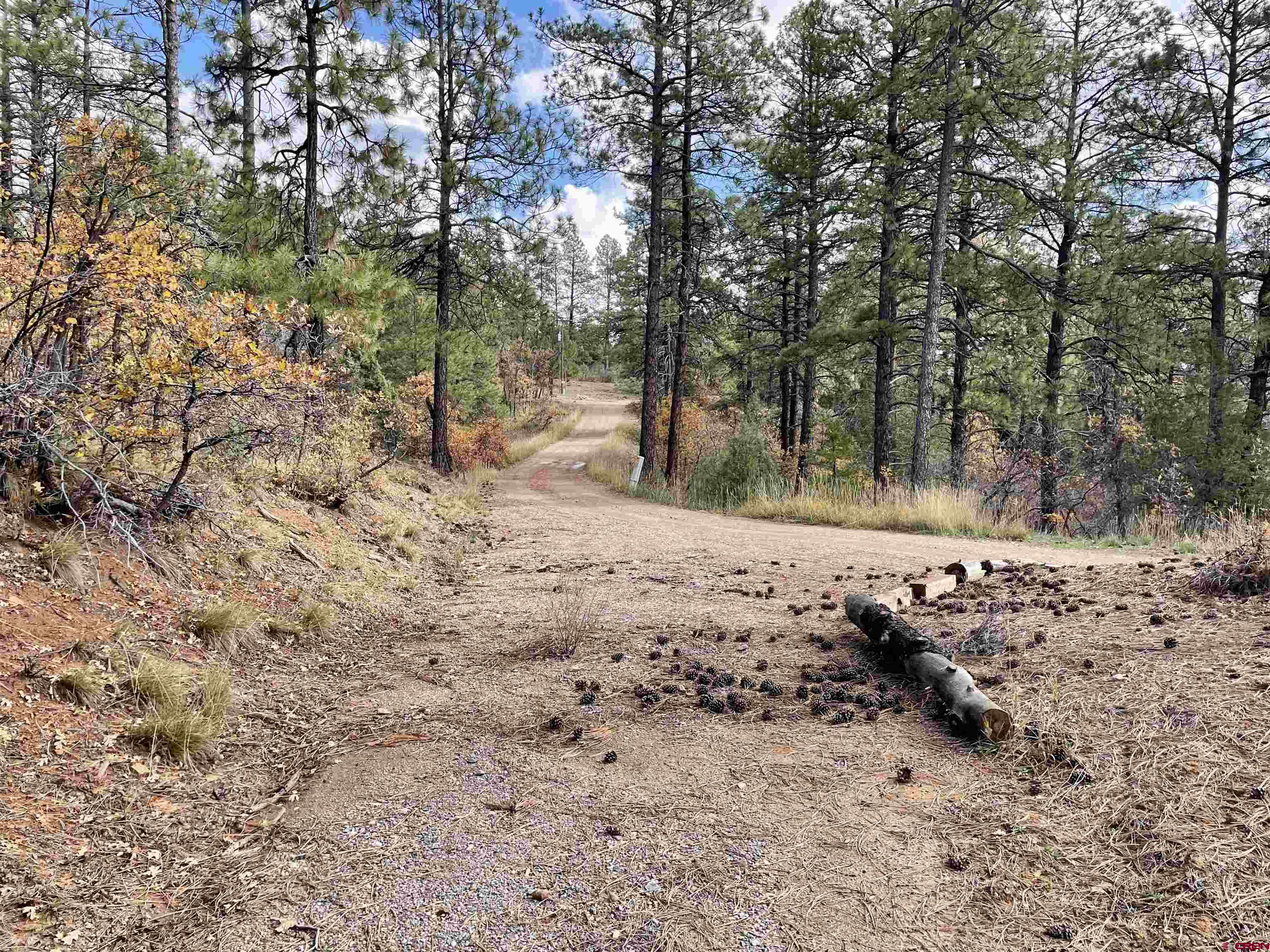 307 Deer Trail Road Durango, CO 81303 - Photo 15 of 16 a view of a yard with large trees