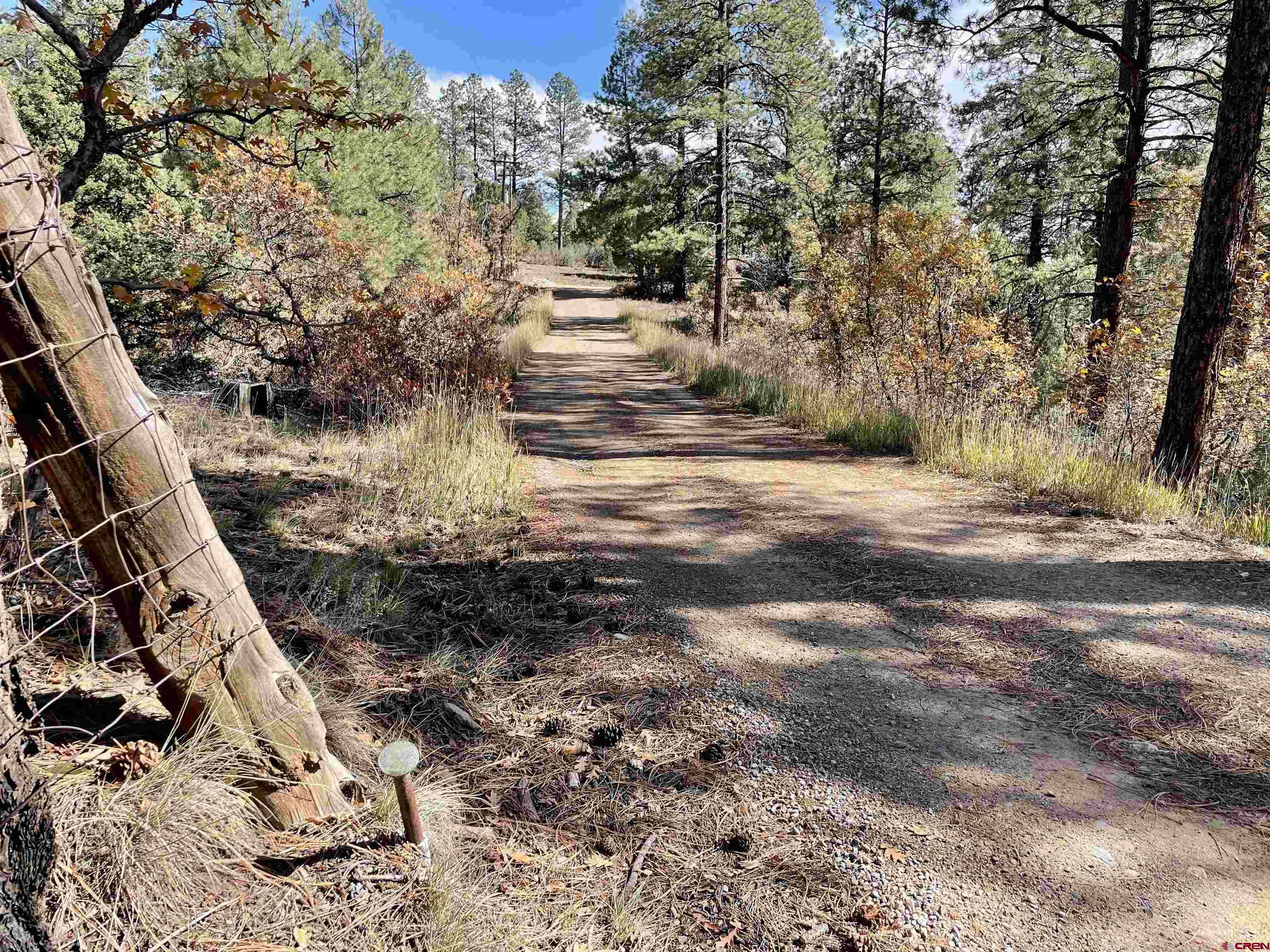 307 Deer Trail Road Durango, CO 81303 - Photo 16 of 16 a view of a yard with plants and trees