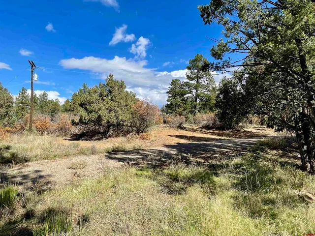 a view of a yard with a tree