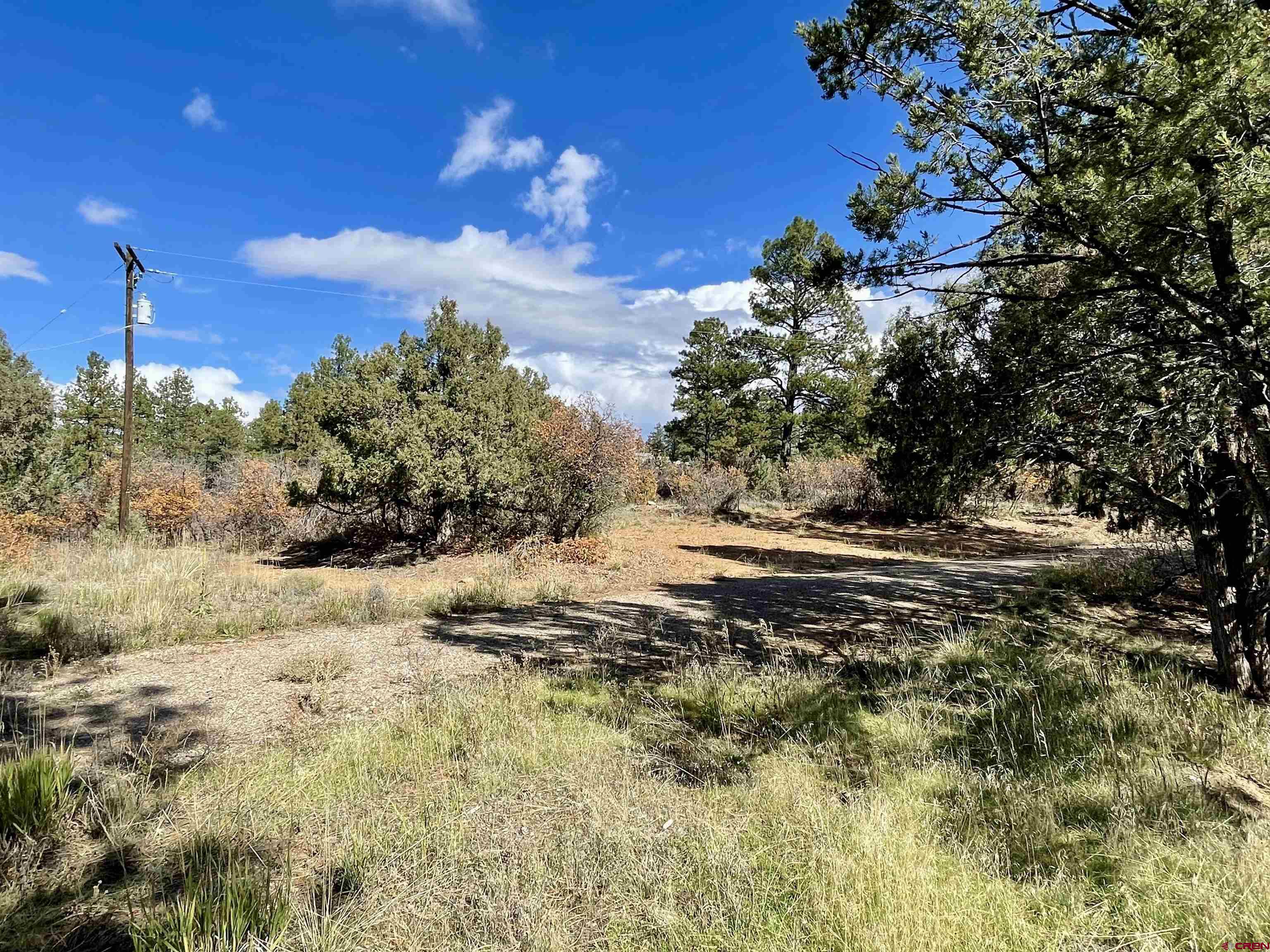 307 Deer Trail Road Durango, CO 81303 - Photo 7 of 16 a view of a yard with a tree