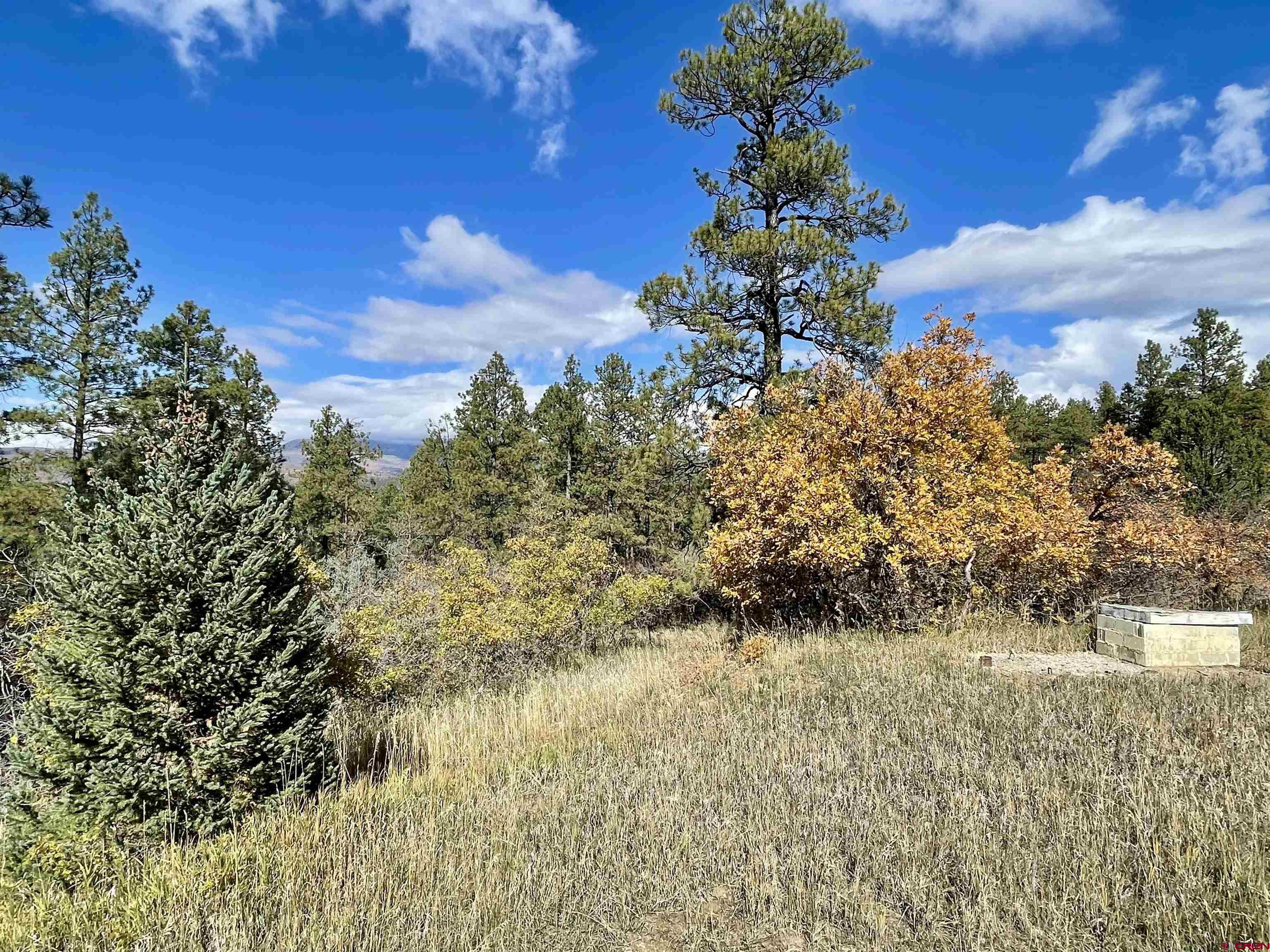 307 Deer Trail Road Durango, CO 81303 - Photo 9 of 16 a view of a tree in a yard next to a building