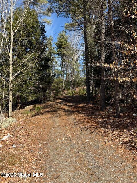61 Snowshoe Ridge Chestertown, NY 12817 - Photo 2 of 9 snow8