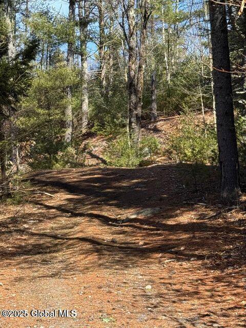 61 Snowshoe Ridge Chestertown, NY 12817 - Photo 3 of 9 snow7
