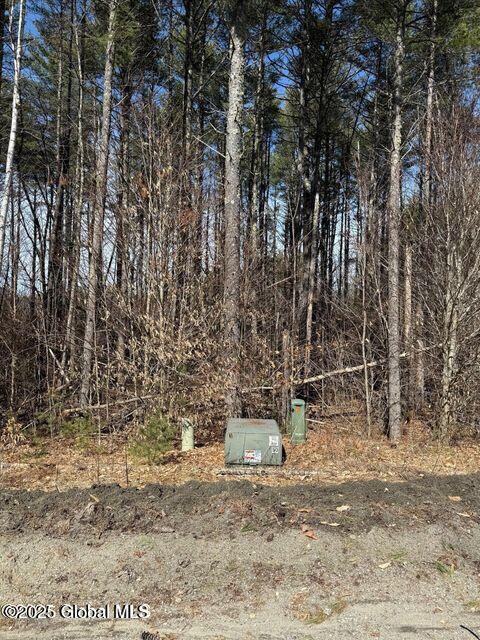 61 Snowshoe Ridge Chestertown, NY 12817 - Photo 4 of 9 snow6