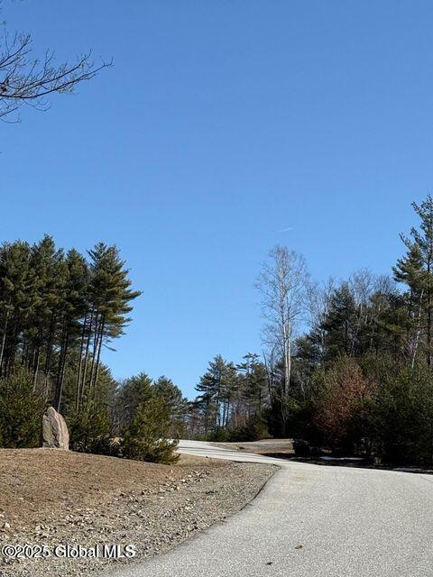 61 Snowshoe Ridge Chestertown, NY 12817 - Photo 5 of 9 snow5