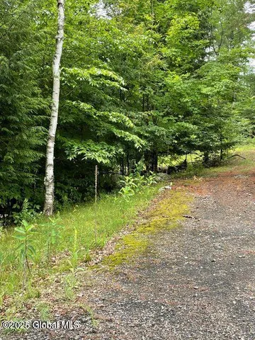 $74,000 | 61 Snowshoe Ridge, Chestertown, NY 12817