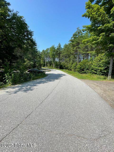 61 Snowshoe Ridge Chestertown, NY 12817 - Photo 8 of 9 snow2