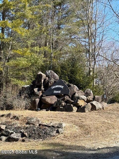 61 Snowshoe Ridge Chestertown, NY 12817 - Photo 9 of 9 snow1