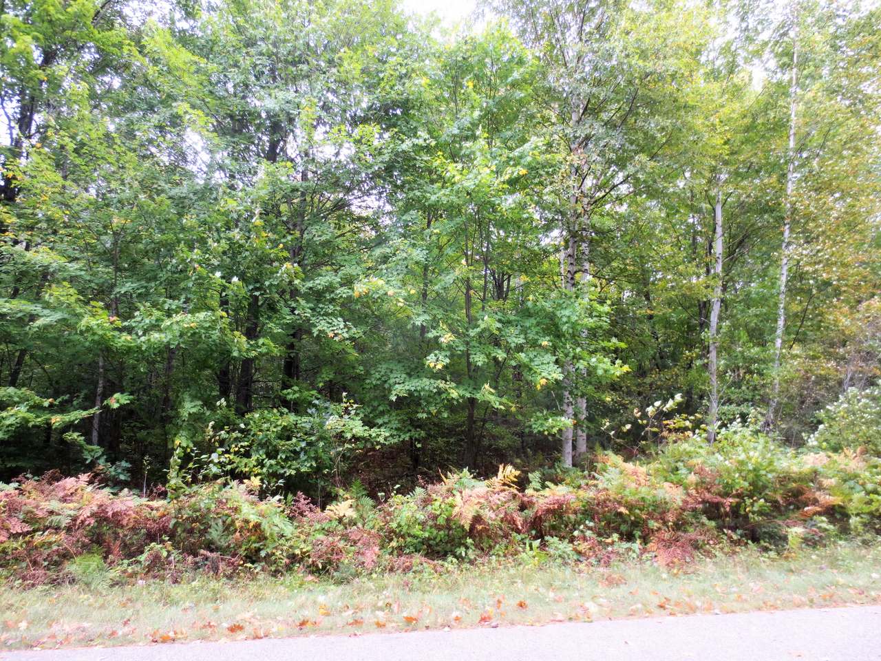 Lot 11 Breezy Pine Road Rhinelander, WI 54501 - Photo 2 of 5 Gallery Image 2