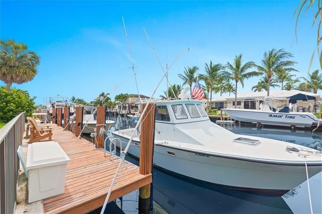 an aerial view of city and trees