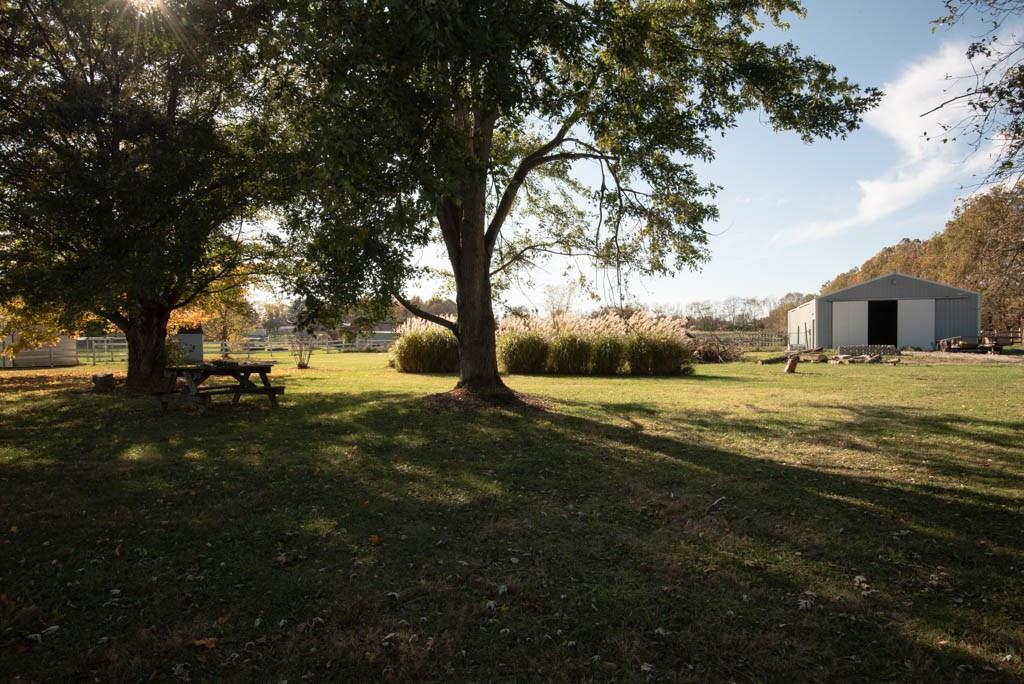 8230 Hayworth Road Indianapolis, IN 46221 - Photo 3 of 42
