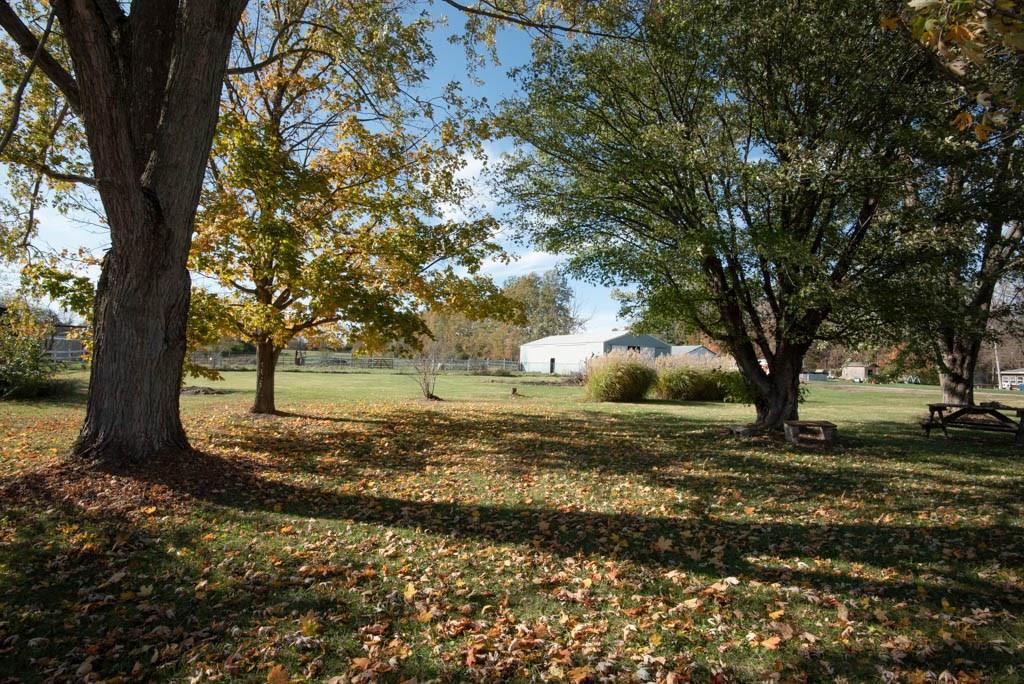 8230 Hayworth Road Indianapolis, IN 46221 - Photo 6 of 42