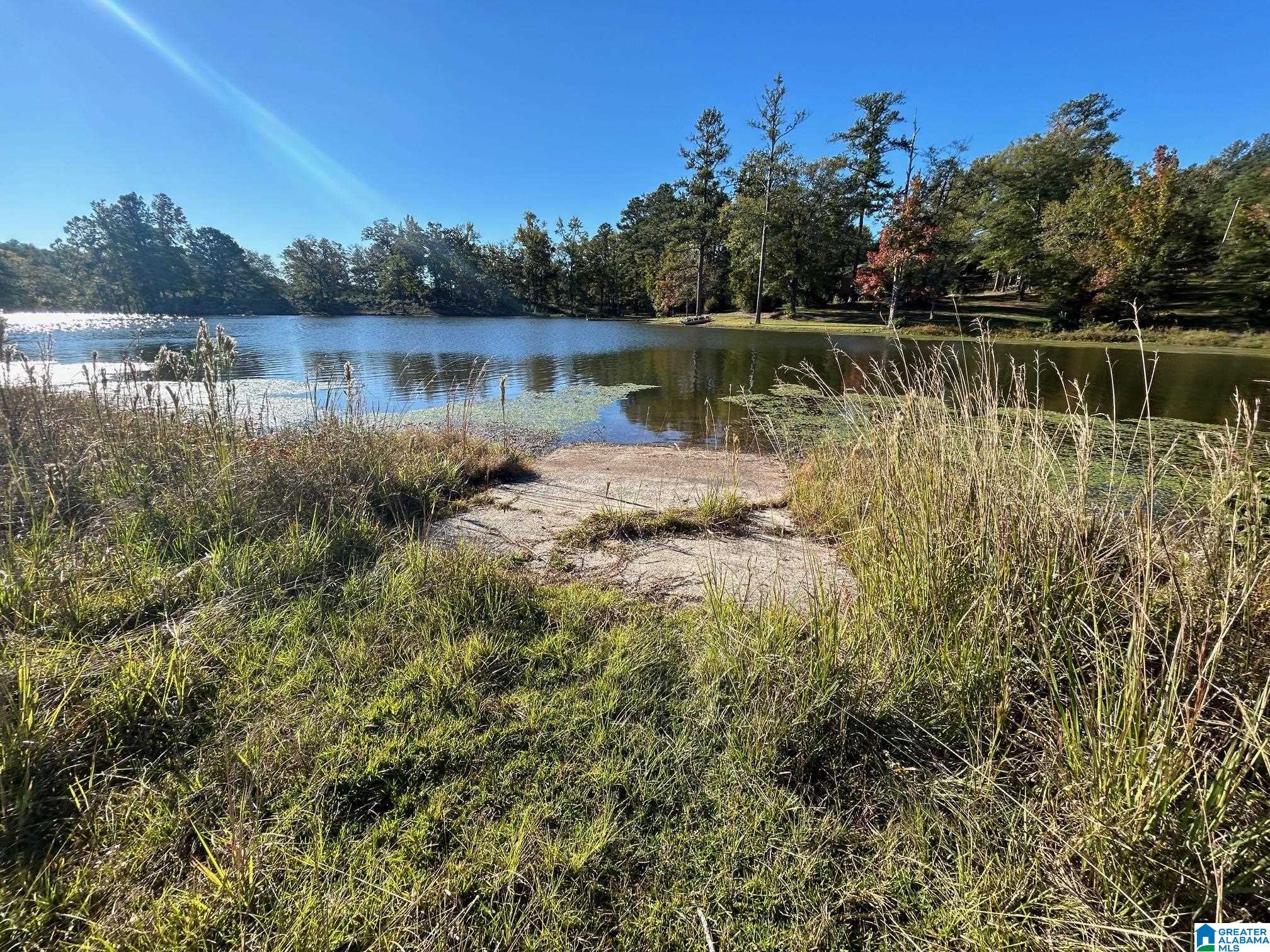 0 Rockyview Road, Unit X West Blocton, AL 35184 - Photo 7 of 11