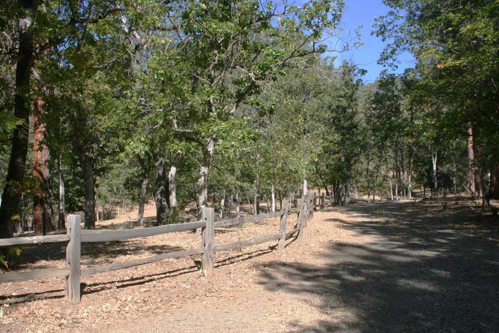 8900 Tyler Gulch Road Fort Jones, CA 96032 - Photo 25 of 25 Gallery Image 25