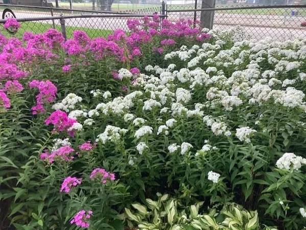 $359,900 | 558 113th Lane Northwest, Coon Rapids, MN 55448