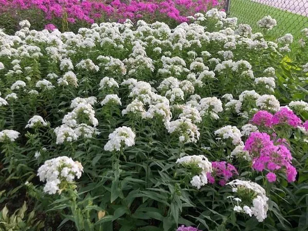 $359,900 | 558 113th Lane Northwest, Coon Rapids, MN 55448