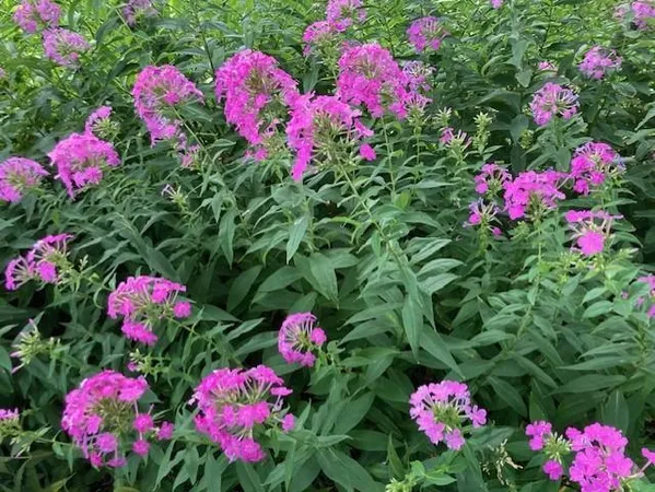 $359,900 | 558 113th Lane Northwest, Coon Rapids, MN 55448