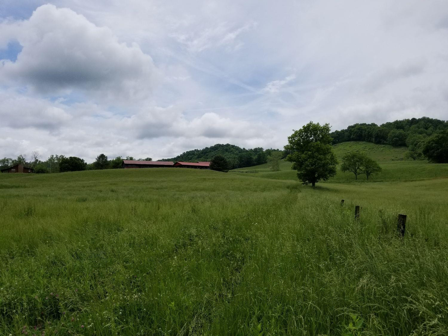 809 Mill Branch School Road Beattyville, KY 41311 - Photo 77 of 97 Photo 79