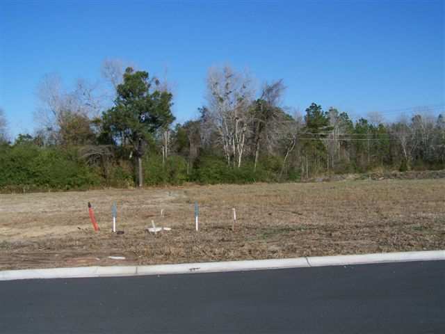 Lot 62 Georgia Mae Loop Conway, SC 29527 - Photo 4 of 5